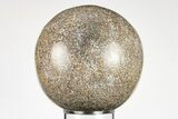 Polished Agatized Dinosaur (Gembone) Sphere - Morocco #198506-1